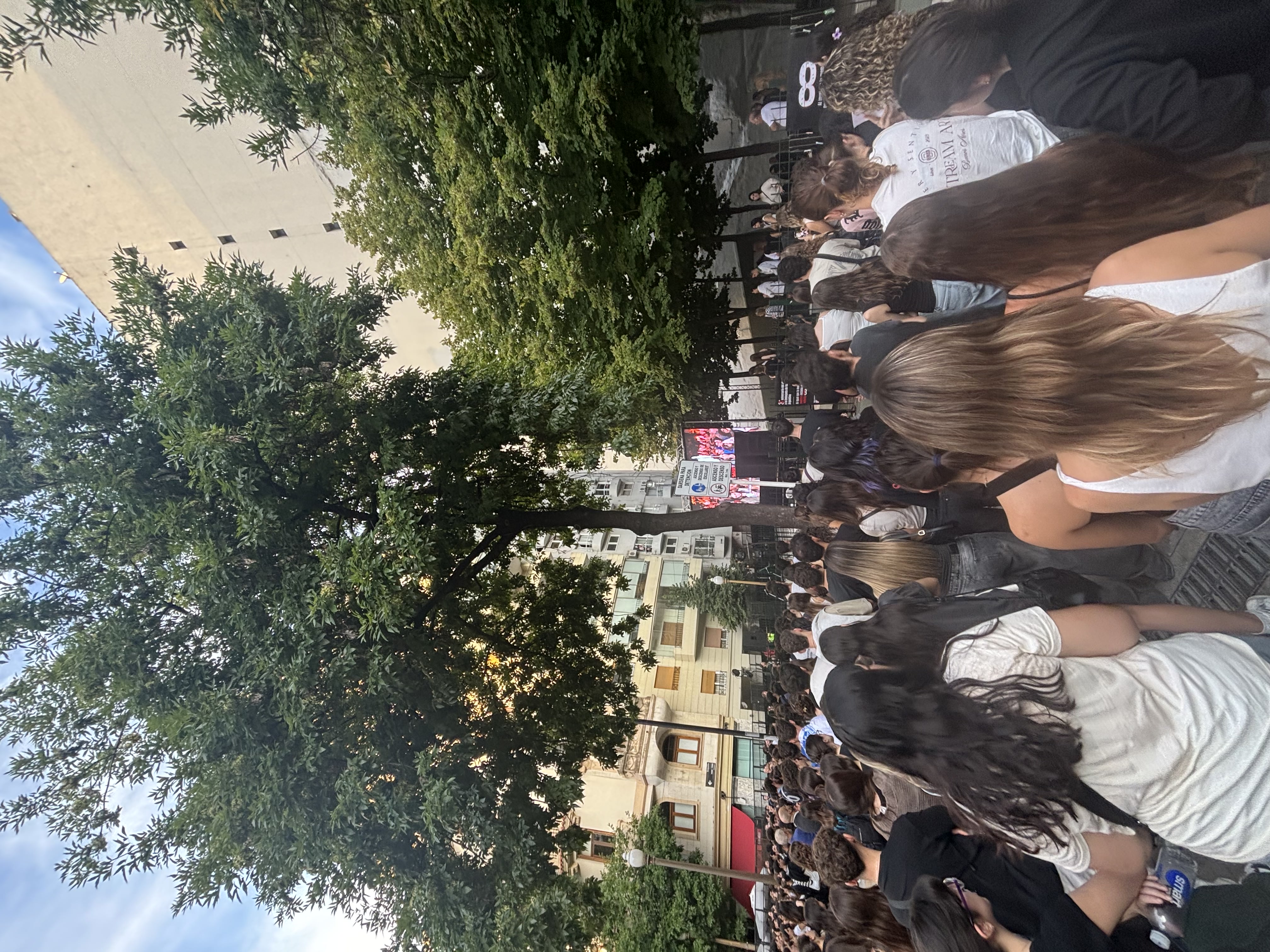 6818ce48638becc22f467720_IMG_6253