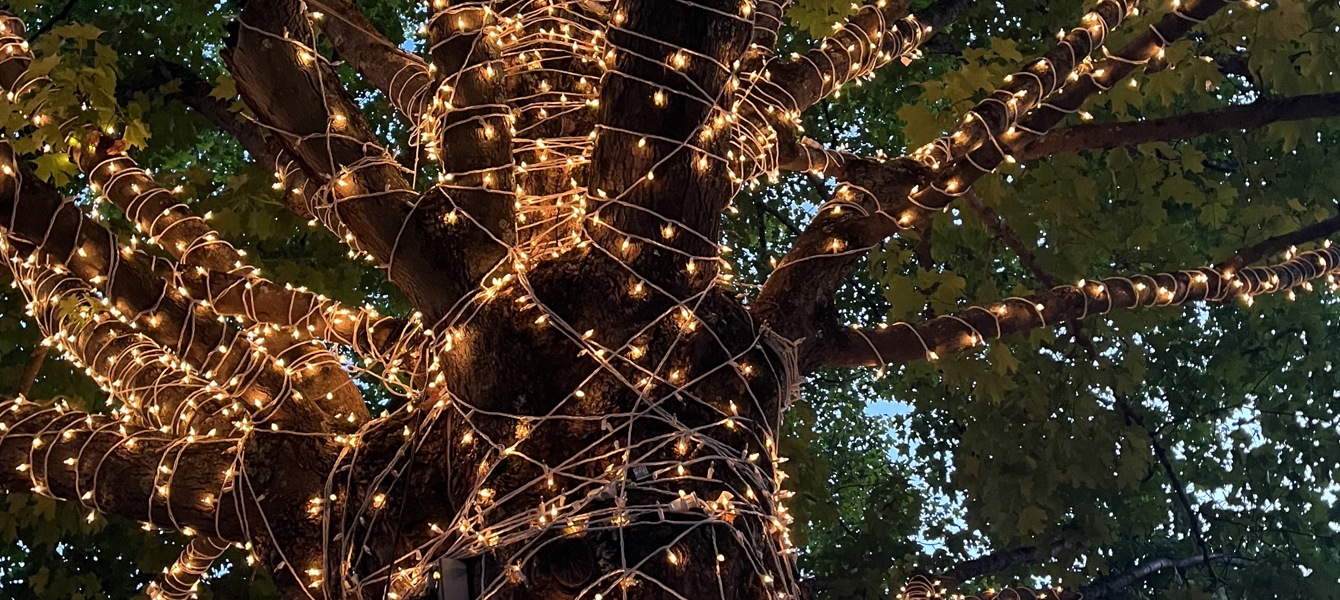 6555276f48c2a6e4b6021470_Rina Kopylev Submission 1 Article C_1b94da2c