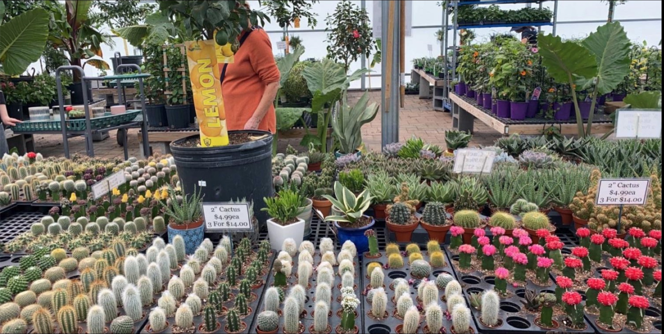 6286bb74b6967018e428622a_Screen Shot 2022-04-13 at 13.28.16