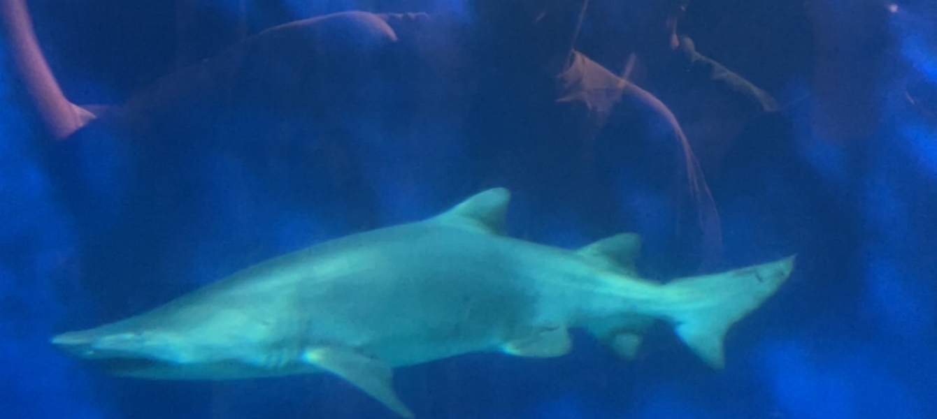 67c71877e8024115483e6ae5_IMG_7442