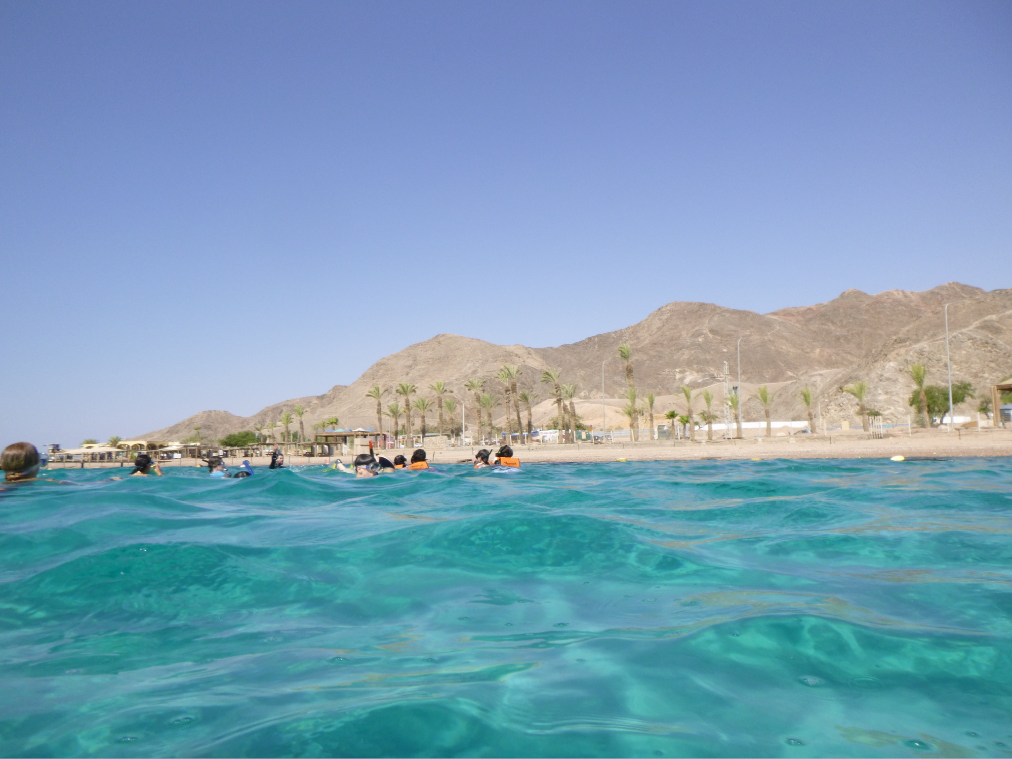 65bbb4a619fb955032f8c64f_P1000171