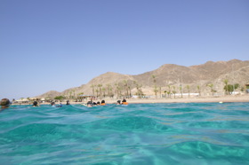 Group of people celebrating on stage