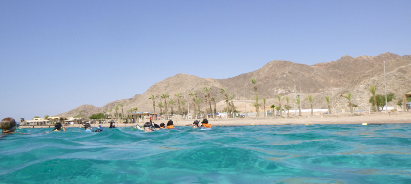 65bbb4a619fb955032f8c64f_P1000171