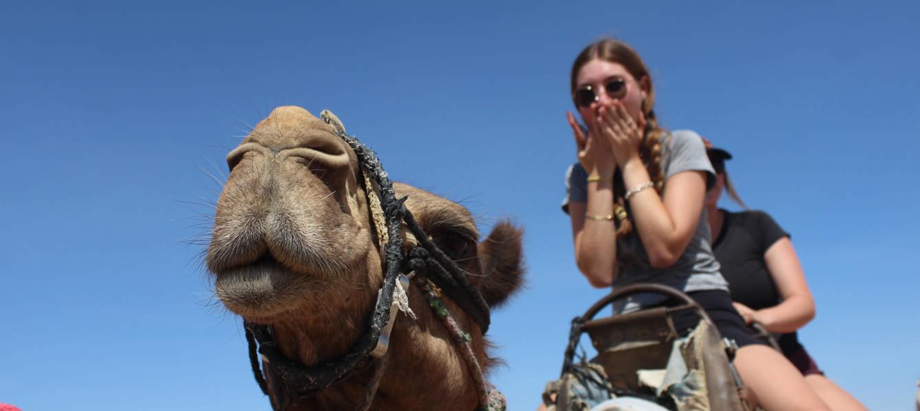 64552e53ef20d8149a13116f_IMG_9614