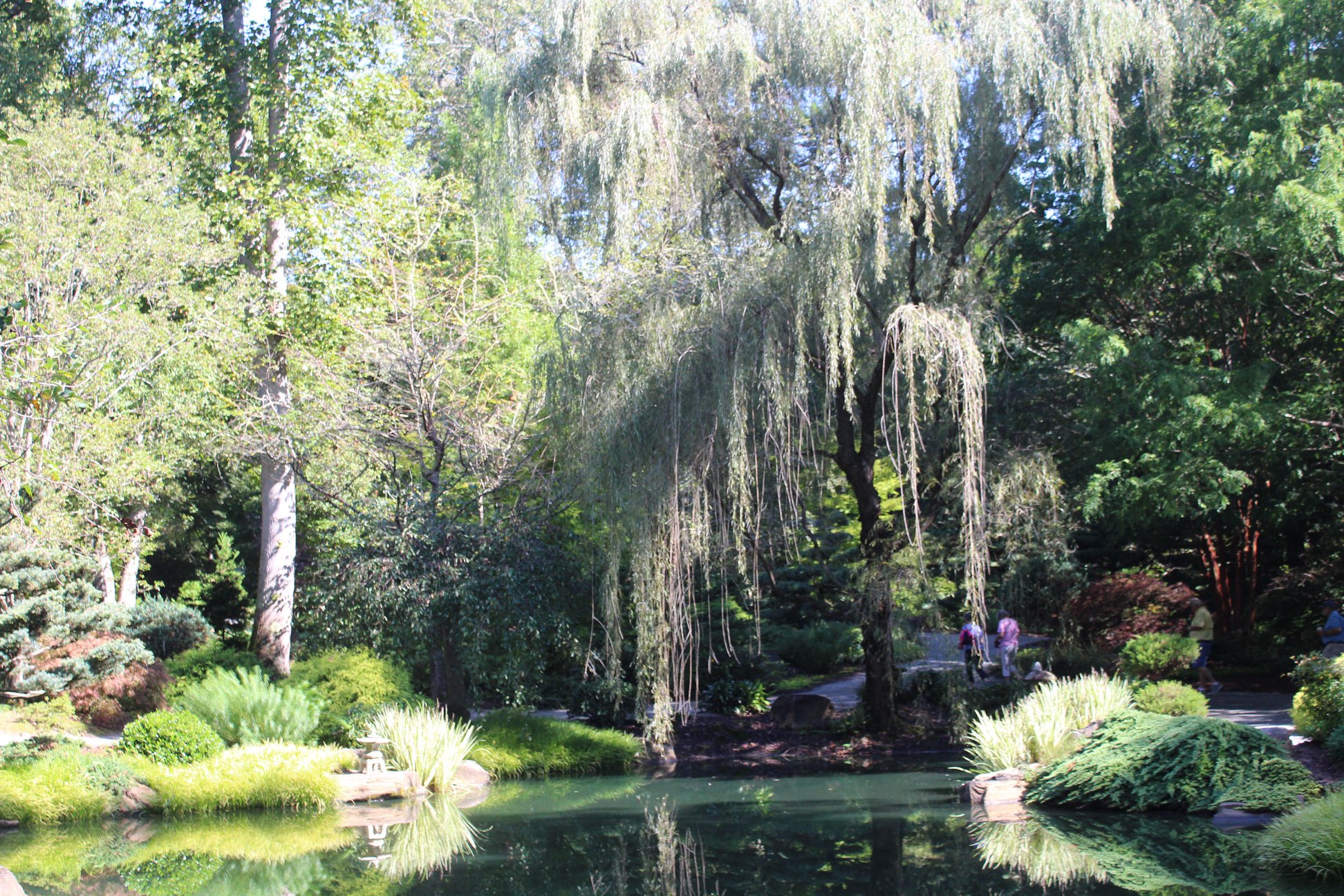 Group of people celebrating on stage