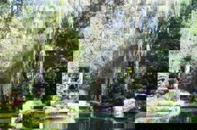 Group of people celebrating on stage