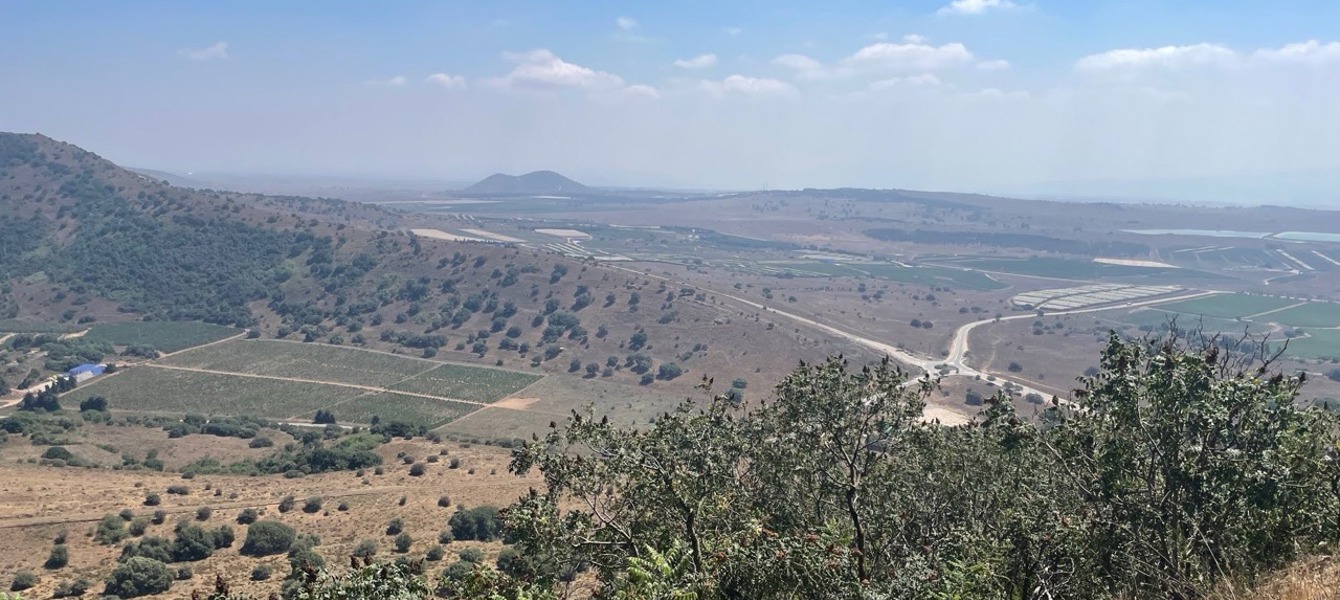 68714bcbce9d37fb5eadbb2c_IMG_0710 Large