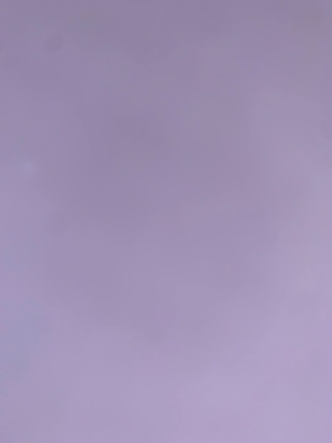 Group of people celebrating on stage