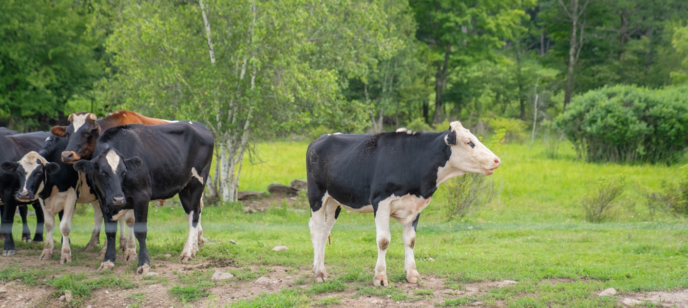 657c8c4c194c514573a76e1f_DSC04365-2