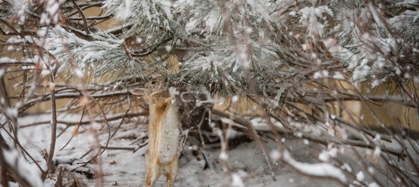 6862f72afbade8a724a17893_Kandel_Saturday_IC 2025-148 Large