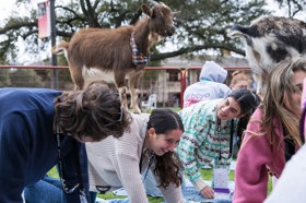 Group of people celebrating on stage