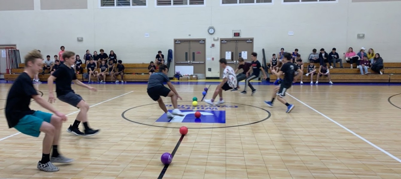 5de94789bb83ab646df94f53_Header Photo (1)