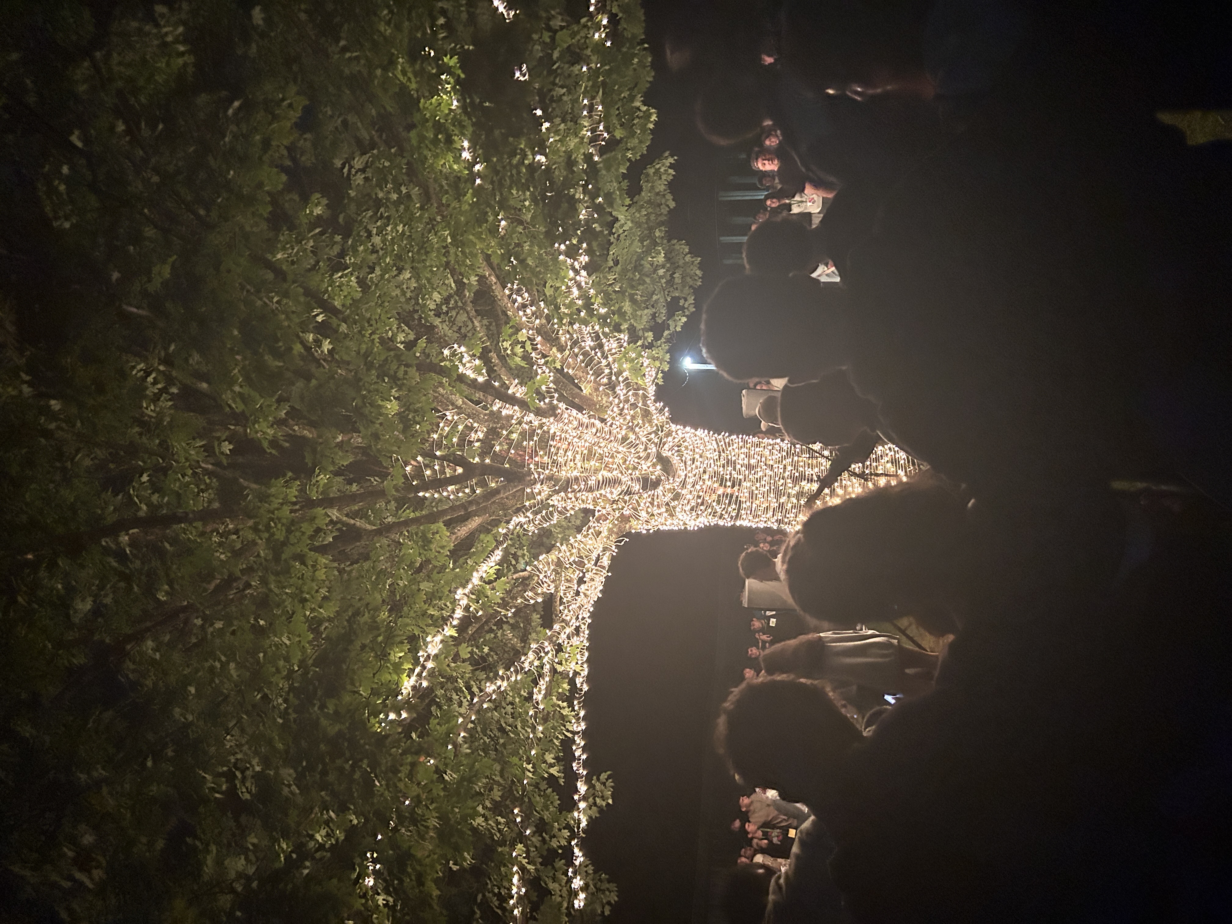 673ba64da9169331d264005a_IMG_8238