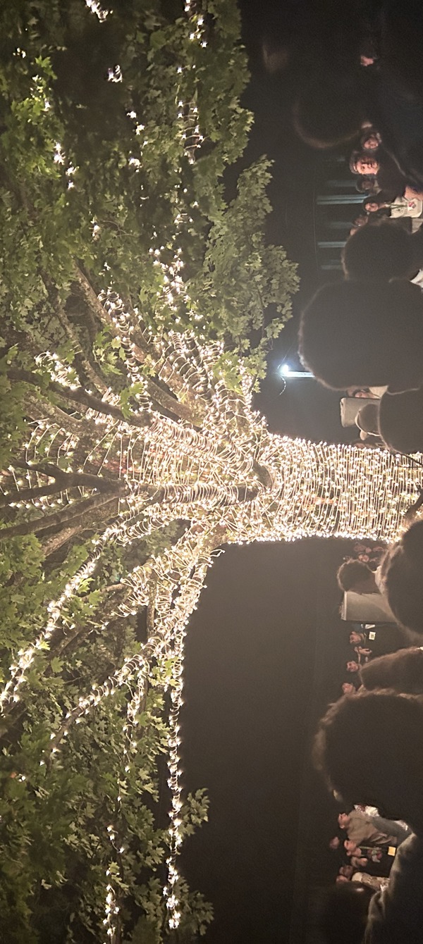 673ba64da9169331d264005a_IMG_8238