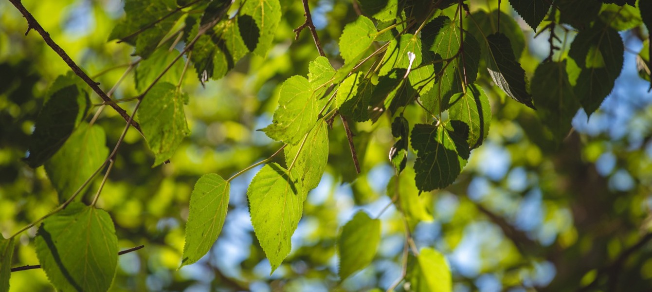 6876fa983054b832b916dab5_BBYO_2153 Large