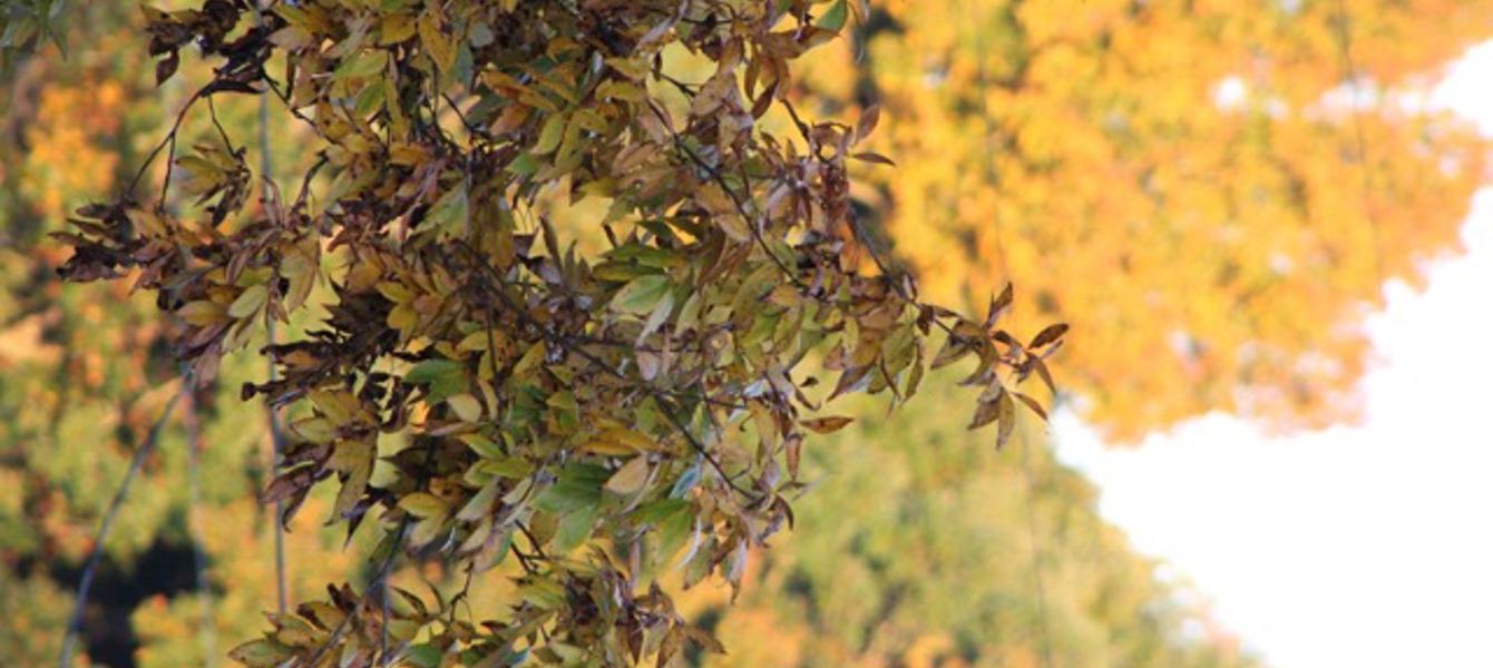 68700db5454a36d83d9a029a_Delta - IMG_2755 Medium