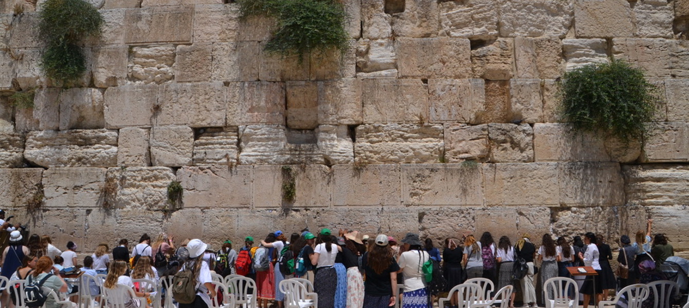 61c25fc897b12dc9ed86388c_cover photo